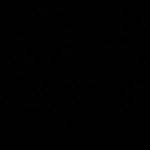 Meet your Posher, Tim